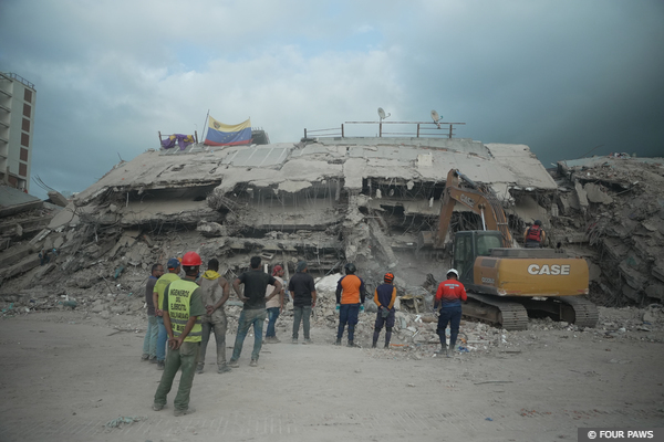 Disaster Relief