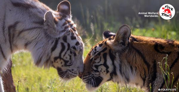 Header Watch the Annual Review 2025