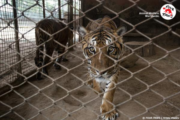 Former Zoo Argentina
