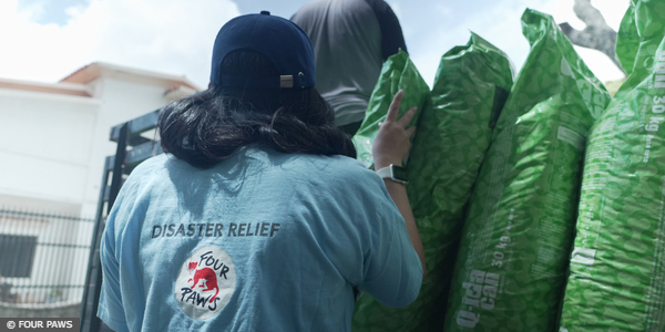 Disaster Relief