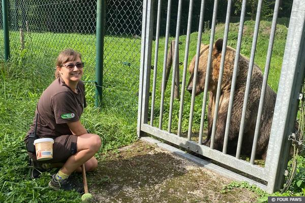 Charlotte Lauren Paul at BEAR SANCTUARY Müritz, Germany.