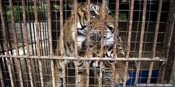Former Zoo Argentina