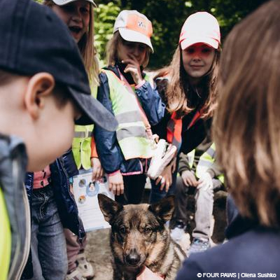 Bear Sanctuary Domazhyr, Ukraine