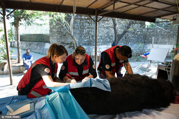 Rescue and Preparedness