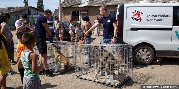 Ukrainian Clinics