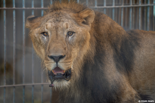 Former Zoo Argentina