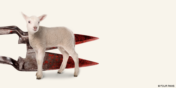 Michael Kors campaign image