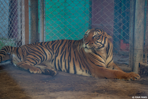 Former Zoo Argentina